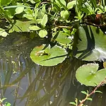 La Fontaine Romy Genneville