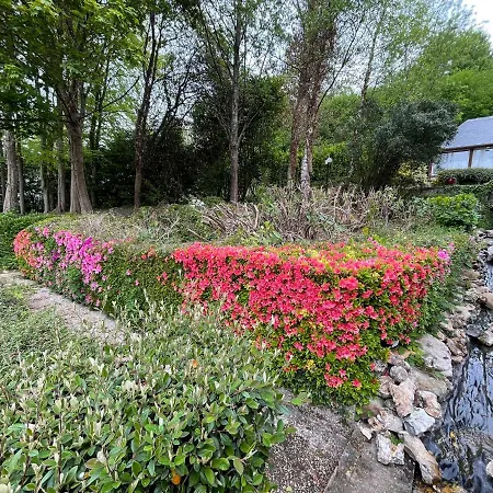 La Fontaine Romy בית הארחה 4*