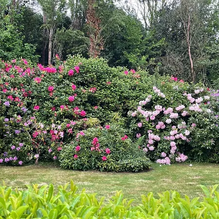 La Fontaine Romy Genneville
