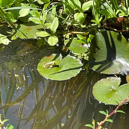 La Fontaine Romy Genneville