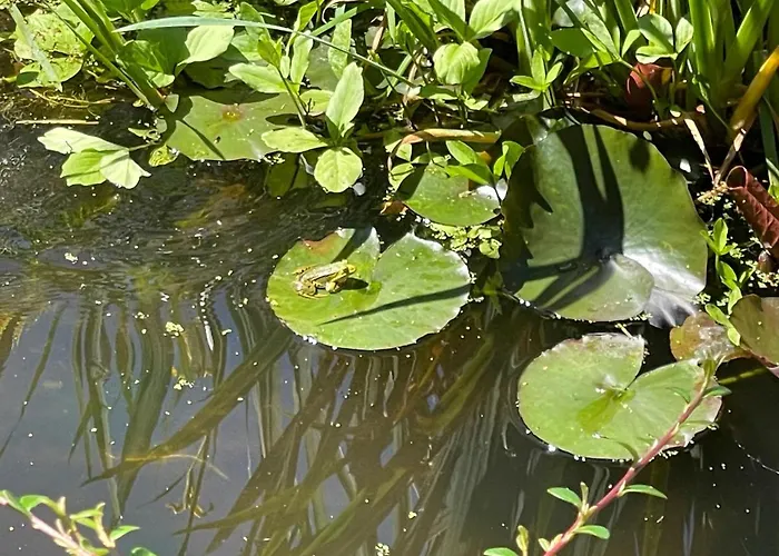 La Fontaine Romy Genneville