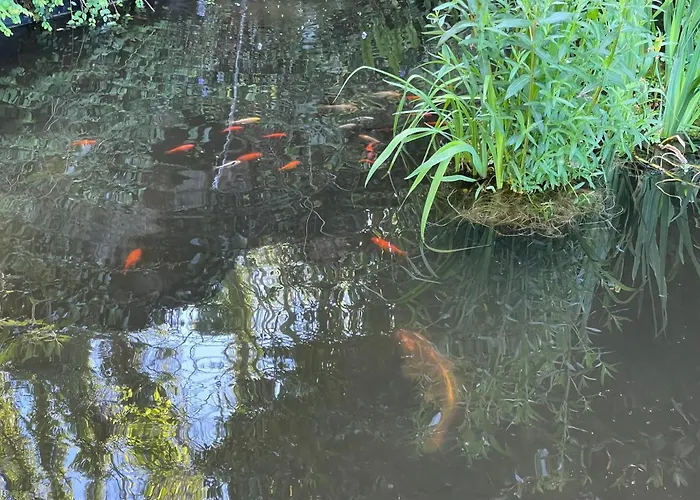 La Fontaine Romy Genneville